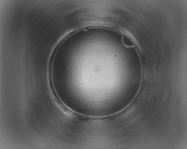 X0000073991043200608281309