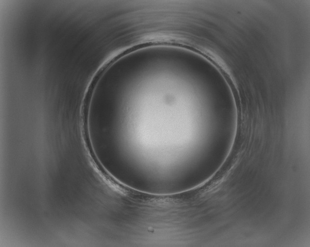 X0000073991045200608281309