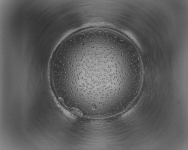 X0000073991046200608281309