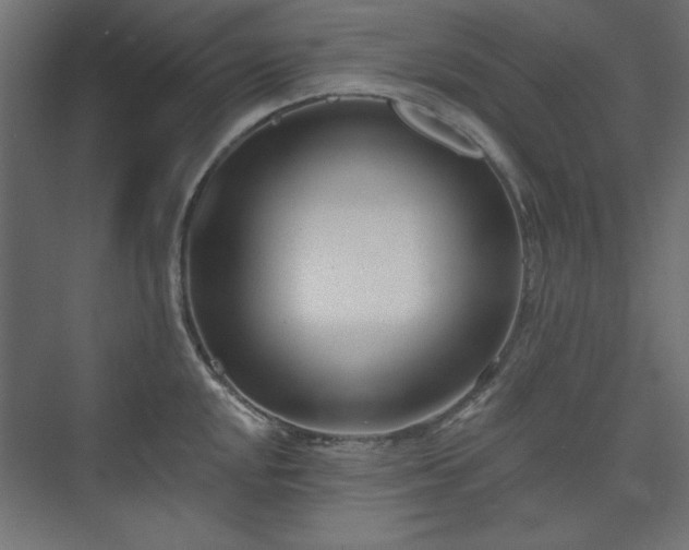 X0000073991048200608281309