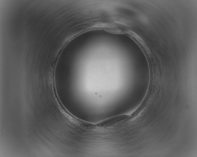 X0000073991049200608281309