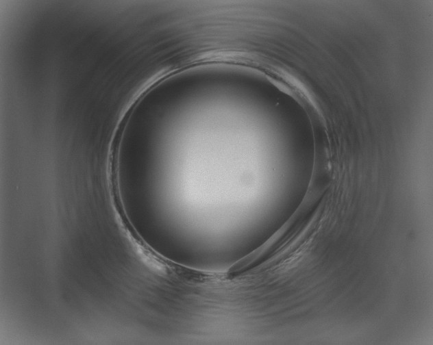 X0000073991050200608281309