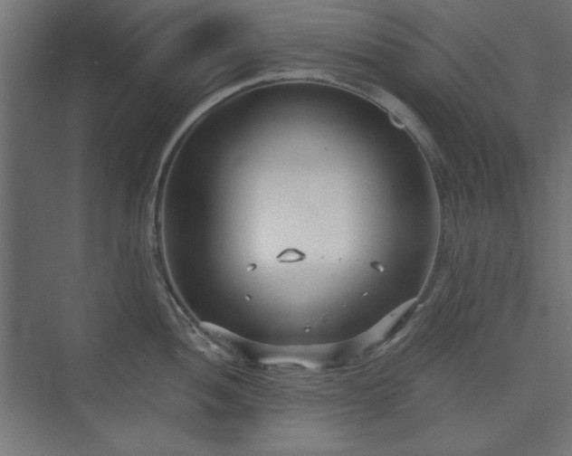 X0000073991052200608281309