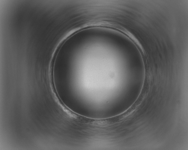 X0000073991053200608281309