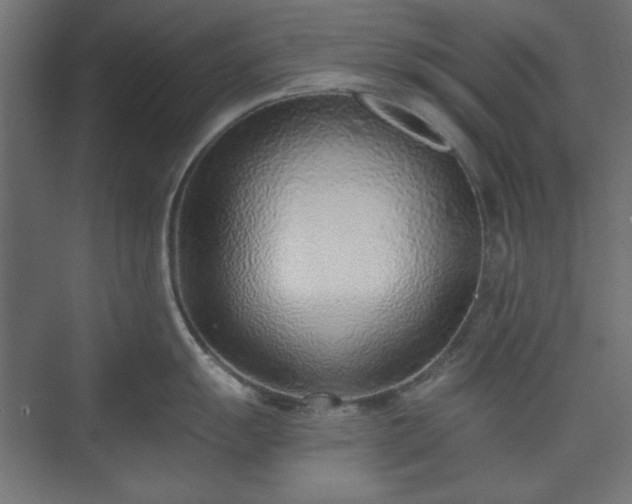 X0000073991055200608281309