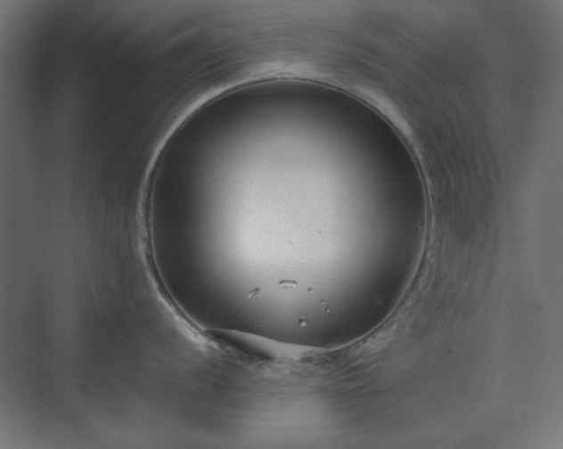 X0000073991056200608281309