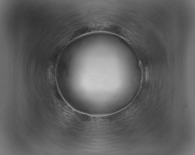 X0000073991059200608281308