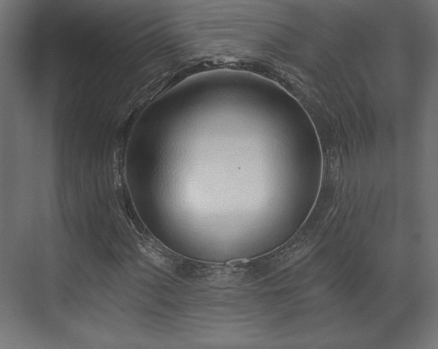 X0000073991060200608281308