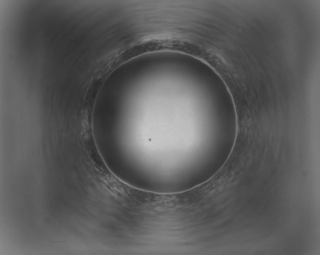 X0000073991062200608281308