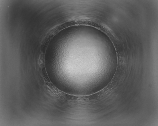 X0000073991063200608281308