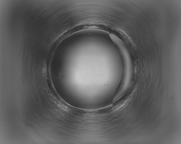 X0000073991065200608281308