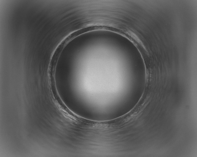 X0000073991068200608281308