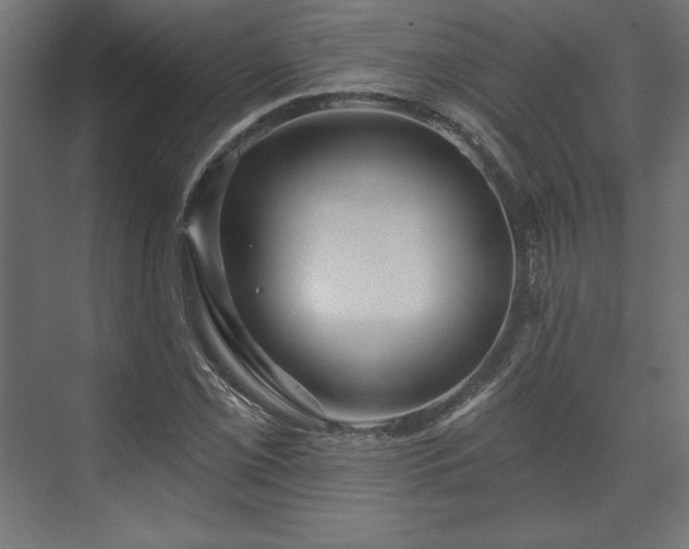 X0000073991069200608281308