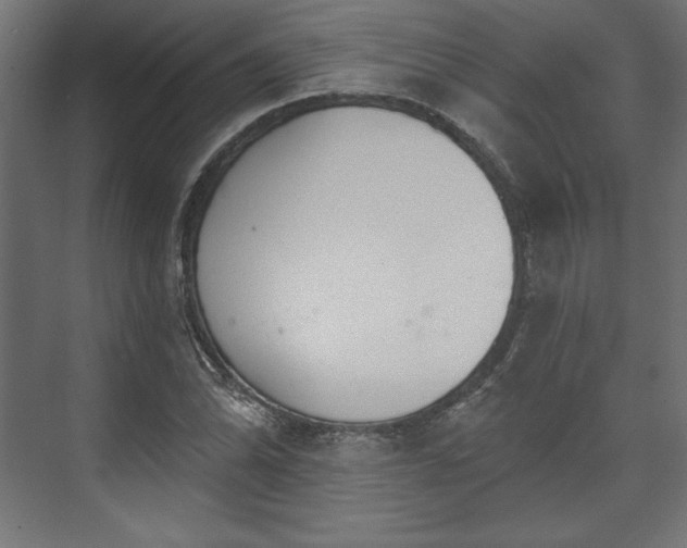 X0000073991070200608281308