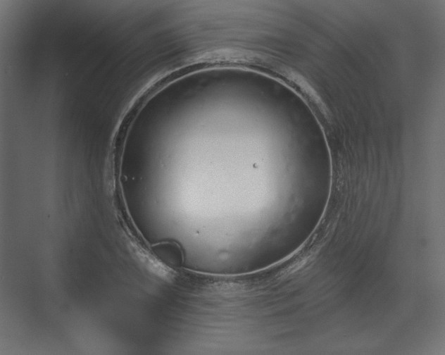 X0000073991075200608281308