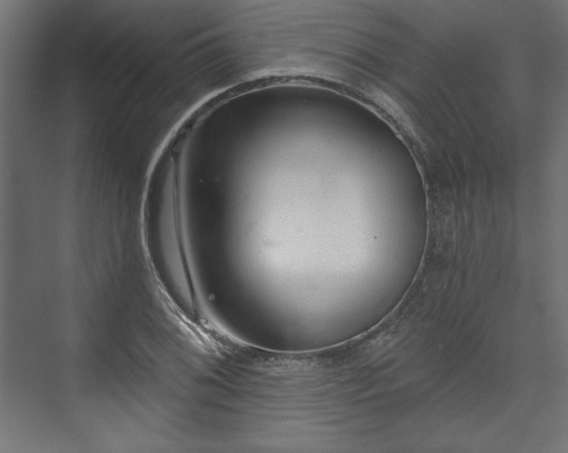 X0000073991076200608281308