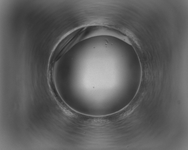 X0000073991077200608281308