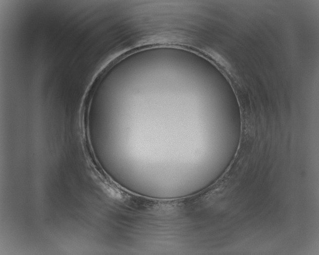 X0000073991078200608281308