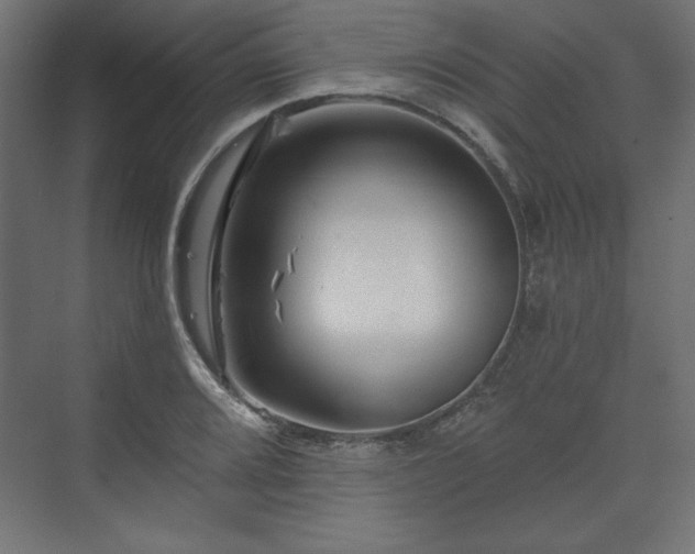 X0000073991080200608281308