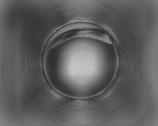 X0000073991081200608281308