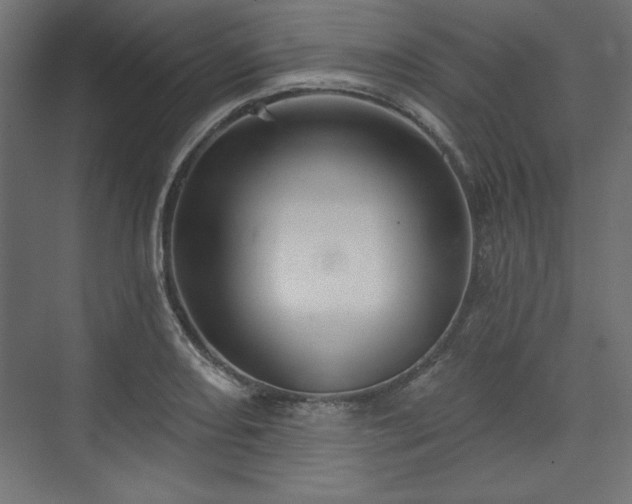 X0000073991082200608281308