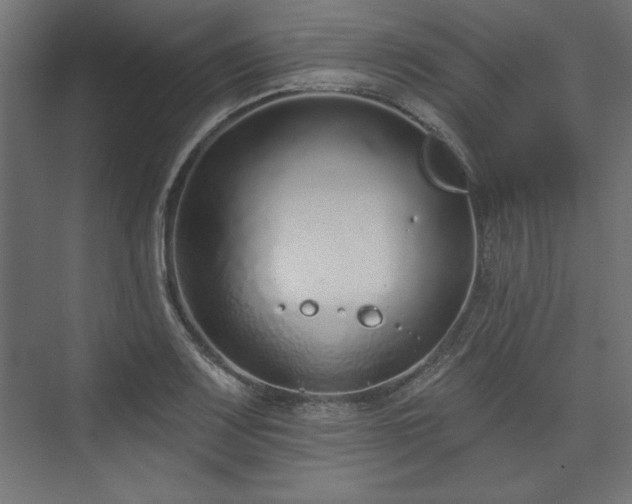 X0000073991083200608281308