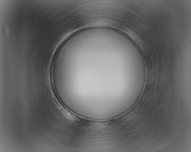 X0000073991086200608281308