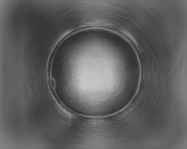 X0000073991087200608281307