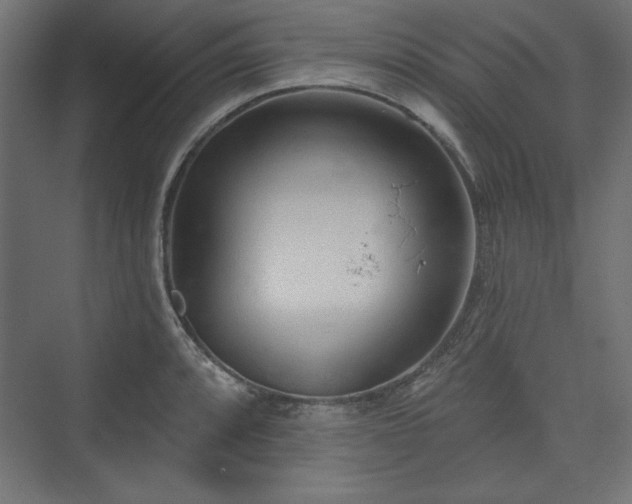 X0000073991088200608281307