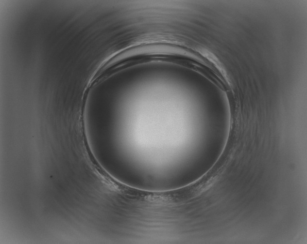 X0000073991089200608281307