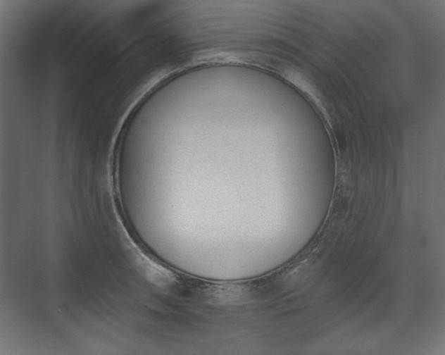 X0000073991090200608281307