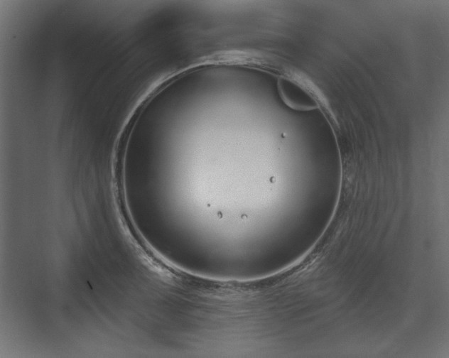 X0000073991091200608281307