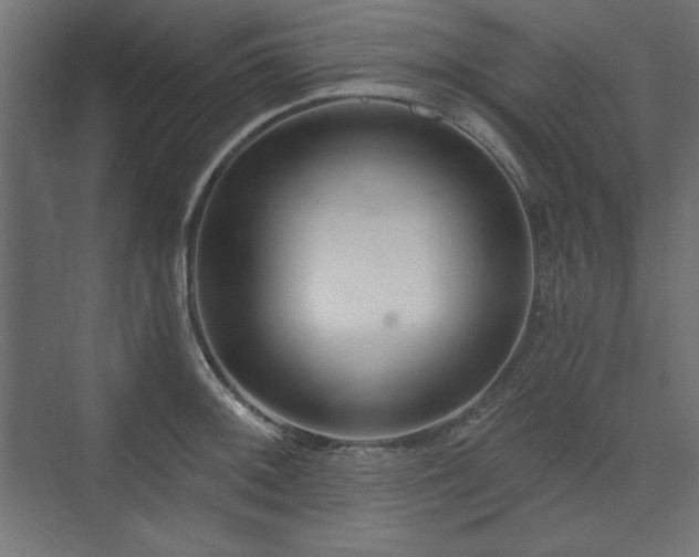 X0000073991092200608281307