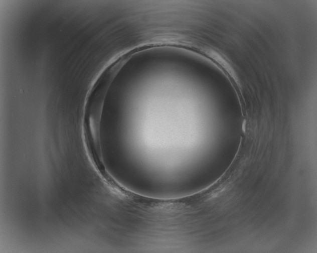 X0000073991093200608281307