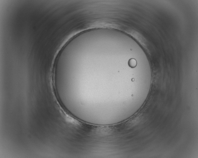 X0000073991094200608281307