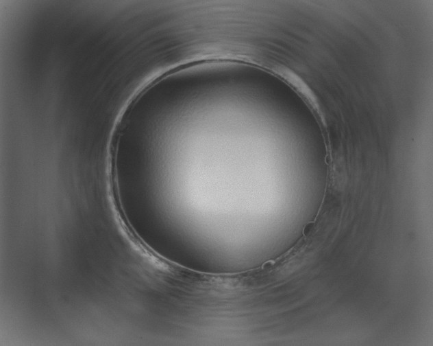 X0000073991096200608281307