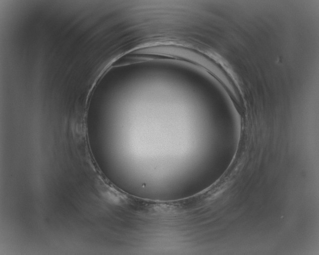 X0000073991097200608281307