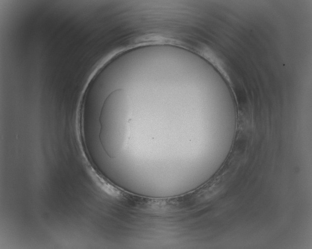 X0000073991098200608281307