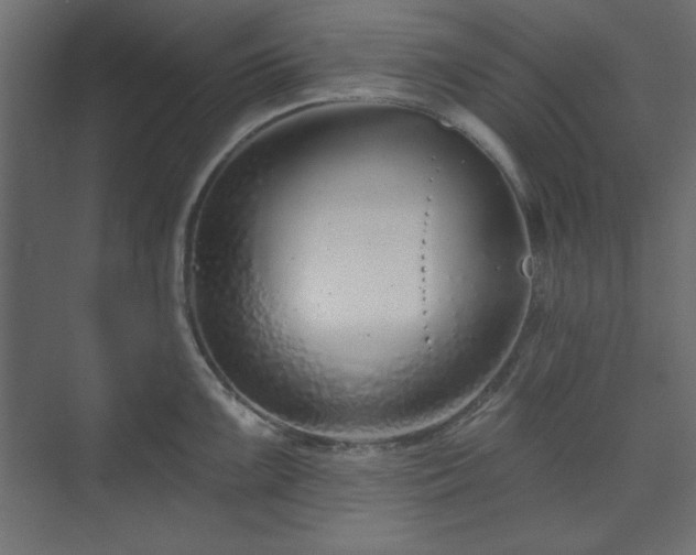 X0000073991099200608281307