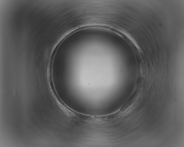 X0000073991101200608281307