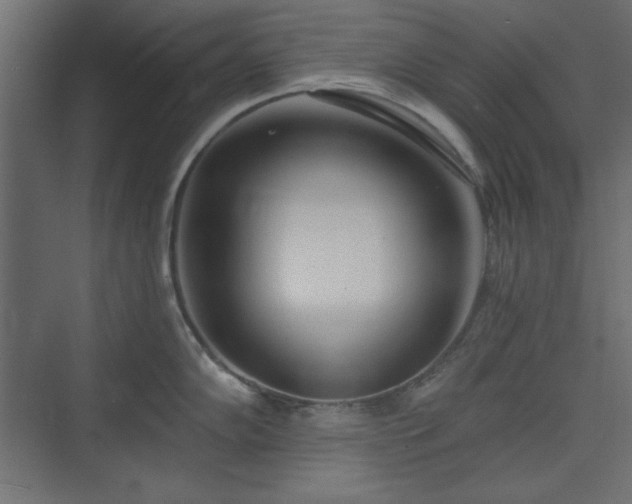 X0000073991102200608281307