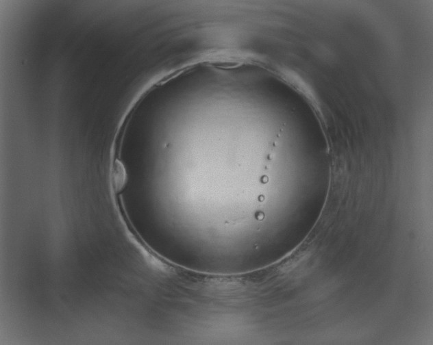 X0000073991103200608281307