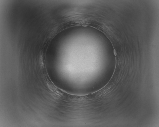 X0000073991106200608281306