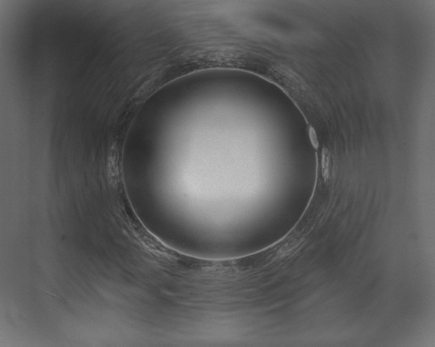 X0000073991107200608281306