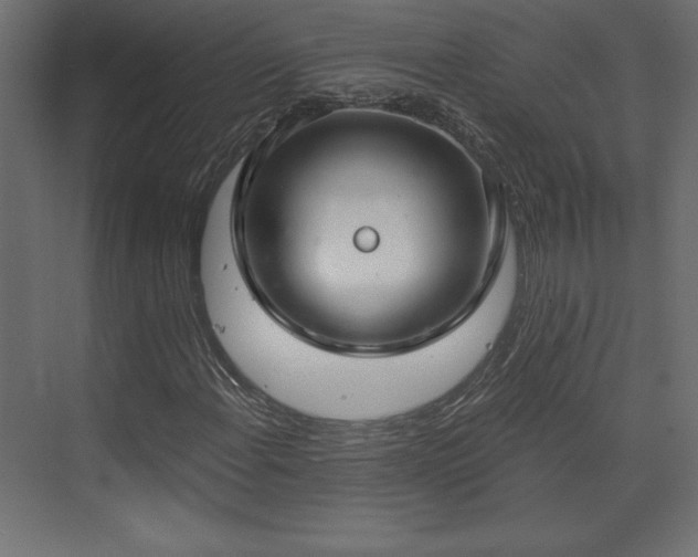 X0000073991108200608281306