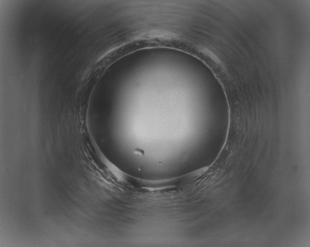 X0000073991112200608281307