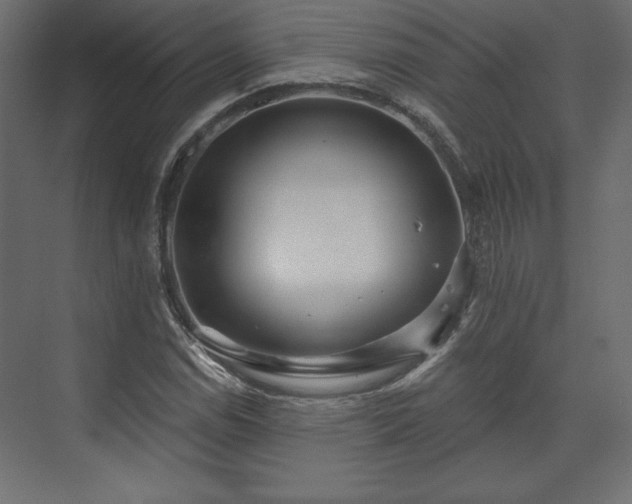 X0000073991114200608281307