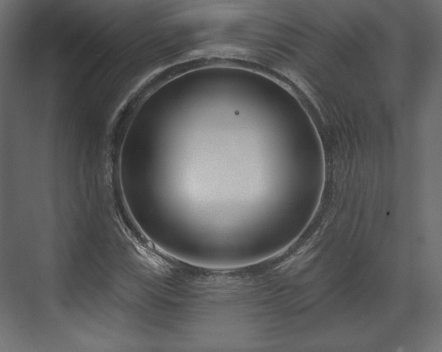 X0000073991115200608281307