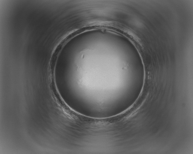 X0000073991117200608281307