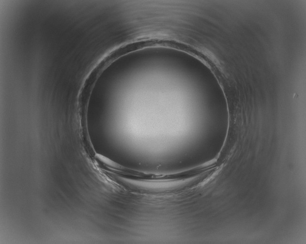 X0000073991118200608281307